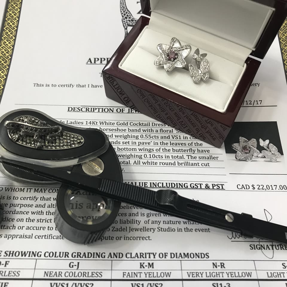 Jewellery appraisal certificate, loupe and diamond rings at Zadel